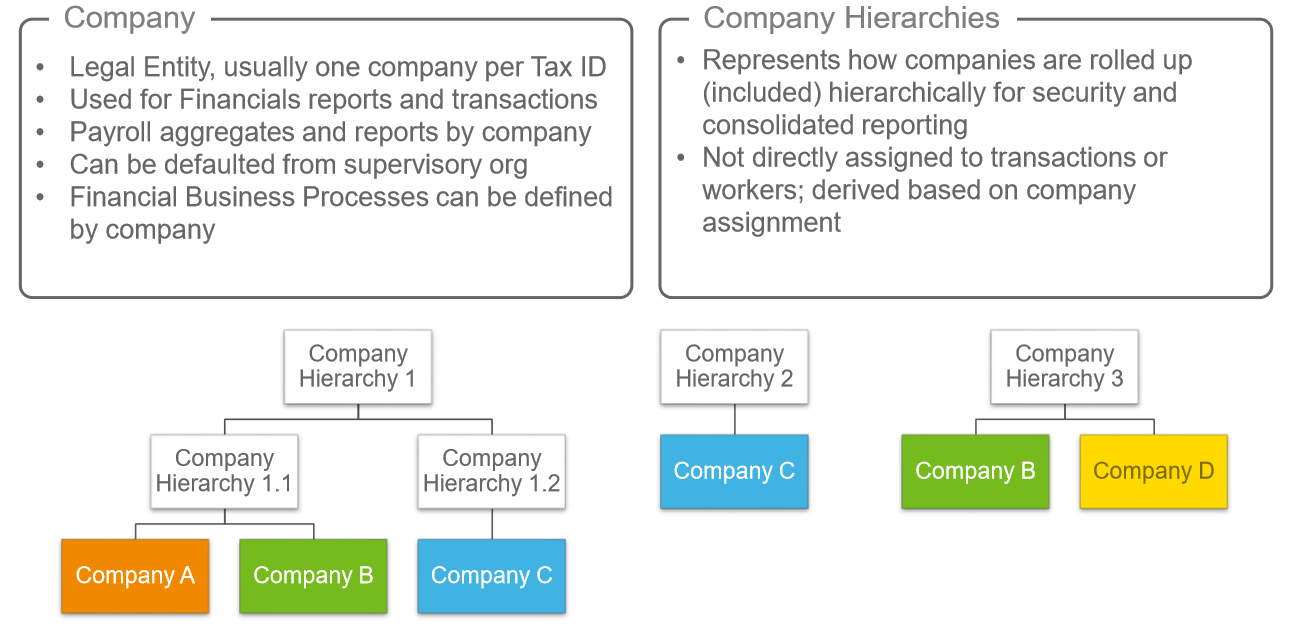 Workday Organization Tutorial The only HCM course course you need