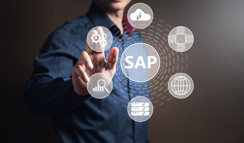 What is the SAP Project System?