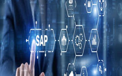 SAP Fieldglass training