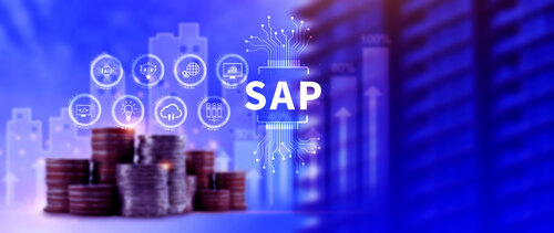 SAP Ariba Vendor Management Tutorial